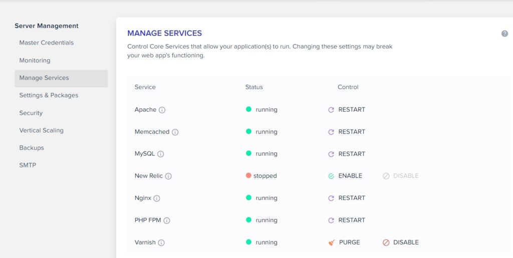 Cloudways Managed Services in the Server